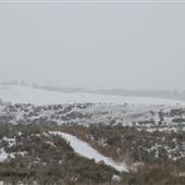 Scheidam Flats Range Lands Dirt Roads North WINTER
