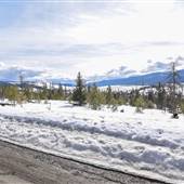 Hat Creek Road 03 Upper Hat Creek Valley Forest Section SPRING