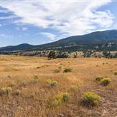 Merritt Festival Grounds - Midday Valley Road - Upper Fields & Roads
