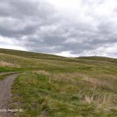 Lundbom Lake Road Grasslands