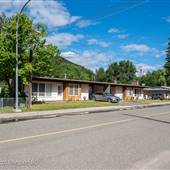 Collins Road Neighbourhood with Semi-detached Houses