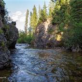 Mad Fox Ranch 103 Mad River