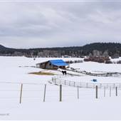 Larson & McQueen Ranch WINTER