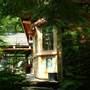 Narrows Village Treehouse