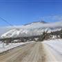 Bailey Road