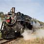 STEAM TRAIN