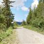 Mud Lake Forest Service Road, Clearing & Bridge over Stream - high elevation