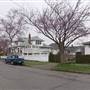STREET - Selkirk Avenue