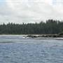 Cape Scott Provincial Park