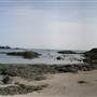 Shell Beach