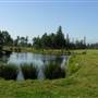 Teranova Farmstead (Teranova Gazebo and Pond)