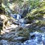 Cochrane Road Waterfalls