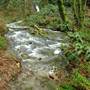 Nanoose Stream