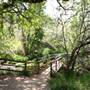 Peterson Creek Nature Park - Entrance to Paths, Creek, Waterfalls & Benches