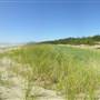 Wickaninnish Beach Sand Dunes (Pacific Rim Natl Park)
