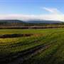 Daldas Farm