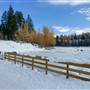FRAZER LK POND ( winter )
