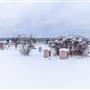 Clinton Historical Cemetery WINTER & SUMMER