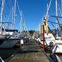 Westport Marina