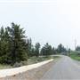 Private Driveway Paved & Unpaved with Curve & Gully - Spring