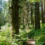 Norma's Loop - Beaver Lodge Lands