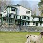Millstream Miniature Llama Farm