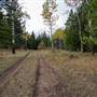 Devick's Ranch - Fields to Viewpoint
