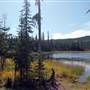 Little McGillivray Lake