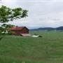Cobble Hill Farmland