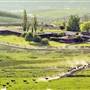 Sundance Guest Ranch w/ Saloon, Outdoor Pool & Other Amenities