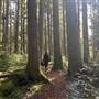 Beaver Lake Trail