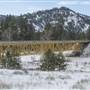 BUBAR ROAD BRIDGE