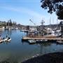 Salt Spring Island Market