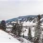 Sheep Creek Bridge