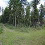 Westsyde Road 5 Km Trail - Fork in the Road