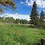 Abel Lake Ranch & Cabins