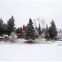 Roche Lake Resort - Winter