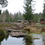 Strachen Property