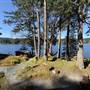 Shawnigan Lake Cabins