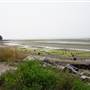 Crescent Beach