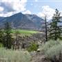 Texas Creek Road
