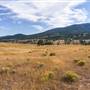Merritt Festival Grounds - Midday Valley Road - Upper Fields & Roads
