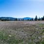 Mill Creek Road Landscape - Merritt