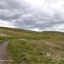 Lundbom Lake Road Grasslands