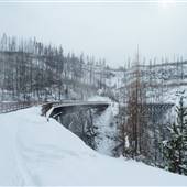 MYRA CANYON / WINTER