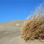 Farwell Sand Dunes