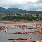 Ladysmith, From Oceanview