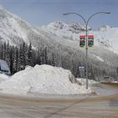 Rogers Pass