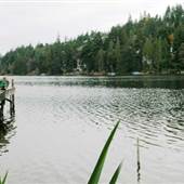 Long Lake Waterfront