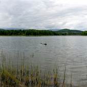 Snakehead Lake